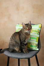 Load image into Gallery viewer, Cat sitting on a chair with a green wax print cushion