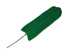 Cargar imagen en el visor de la galería, A handwoven banana leaf-shaped 3D wall decor piece in green color.