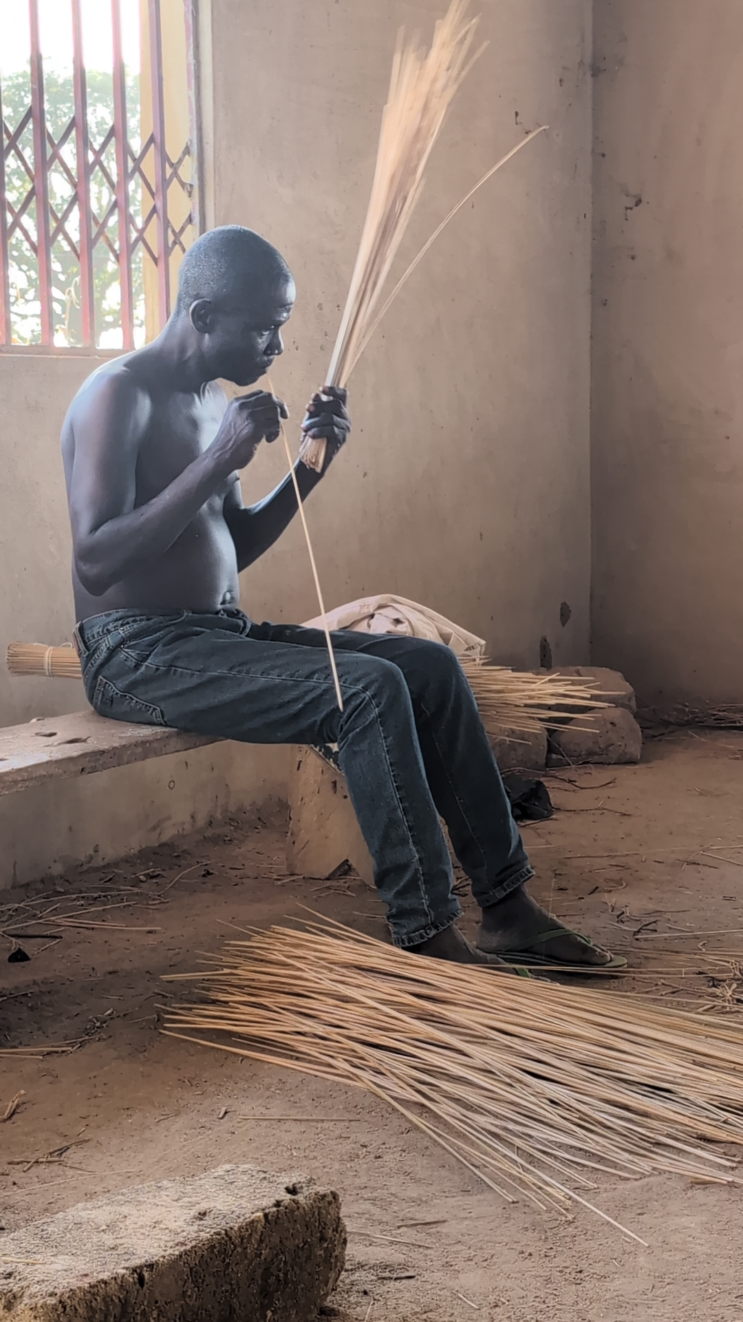 A Bolgatanga artisan splitting elephant grass straw to prepare it for weaving.