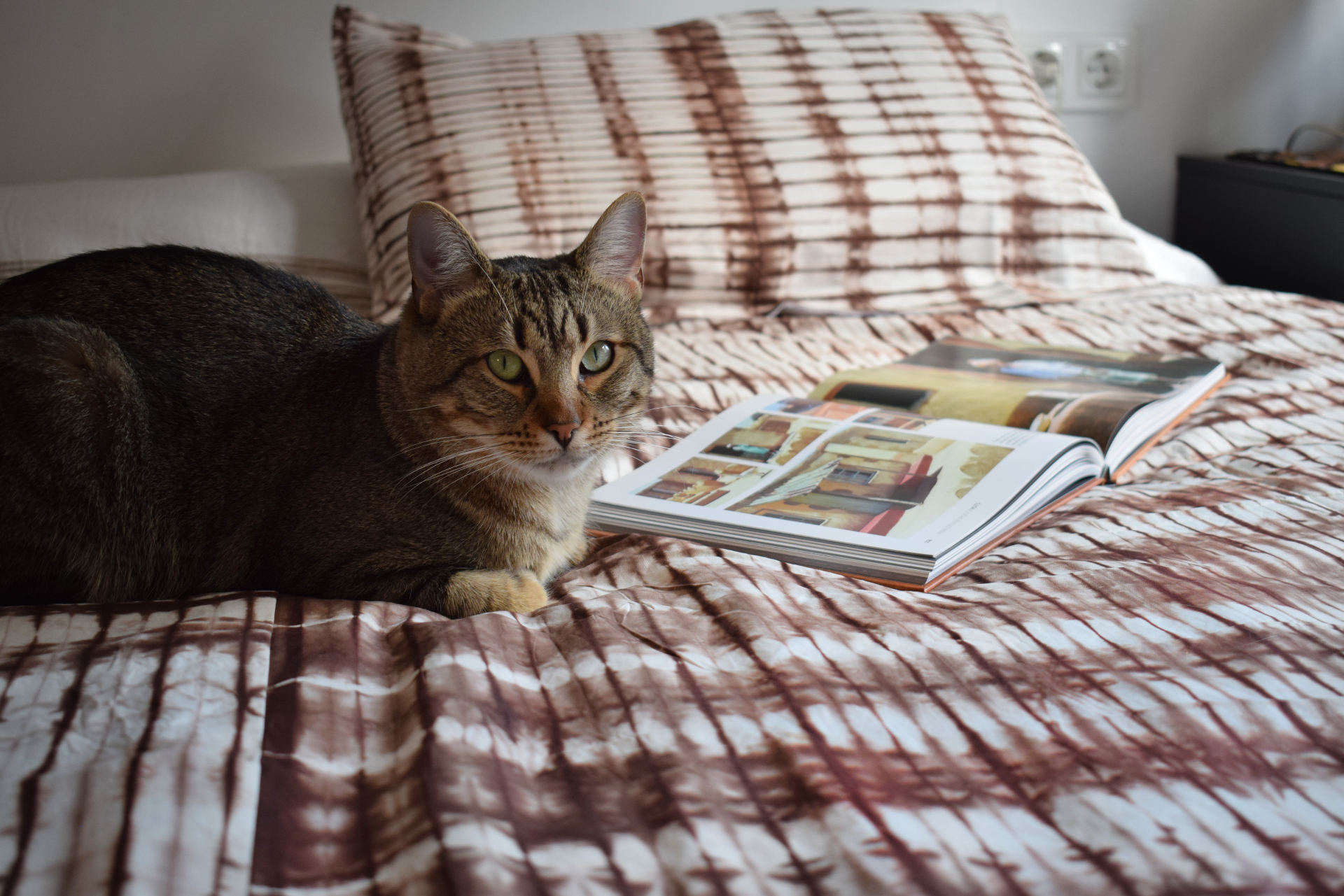 A tabby cat resting on tie & dye bedding next to an open book.
