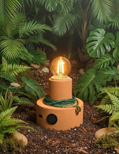 Carregar imagem no visualizador da galeria, Ceramic lamp with a light bulb in a natural setting surrounded by green plants.
