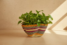 Cargar imagen en el visor de la galería, Pink orange wavy Bolga basket with a plant
